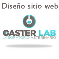 Construcci�n Sitio Web